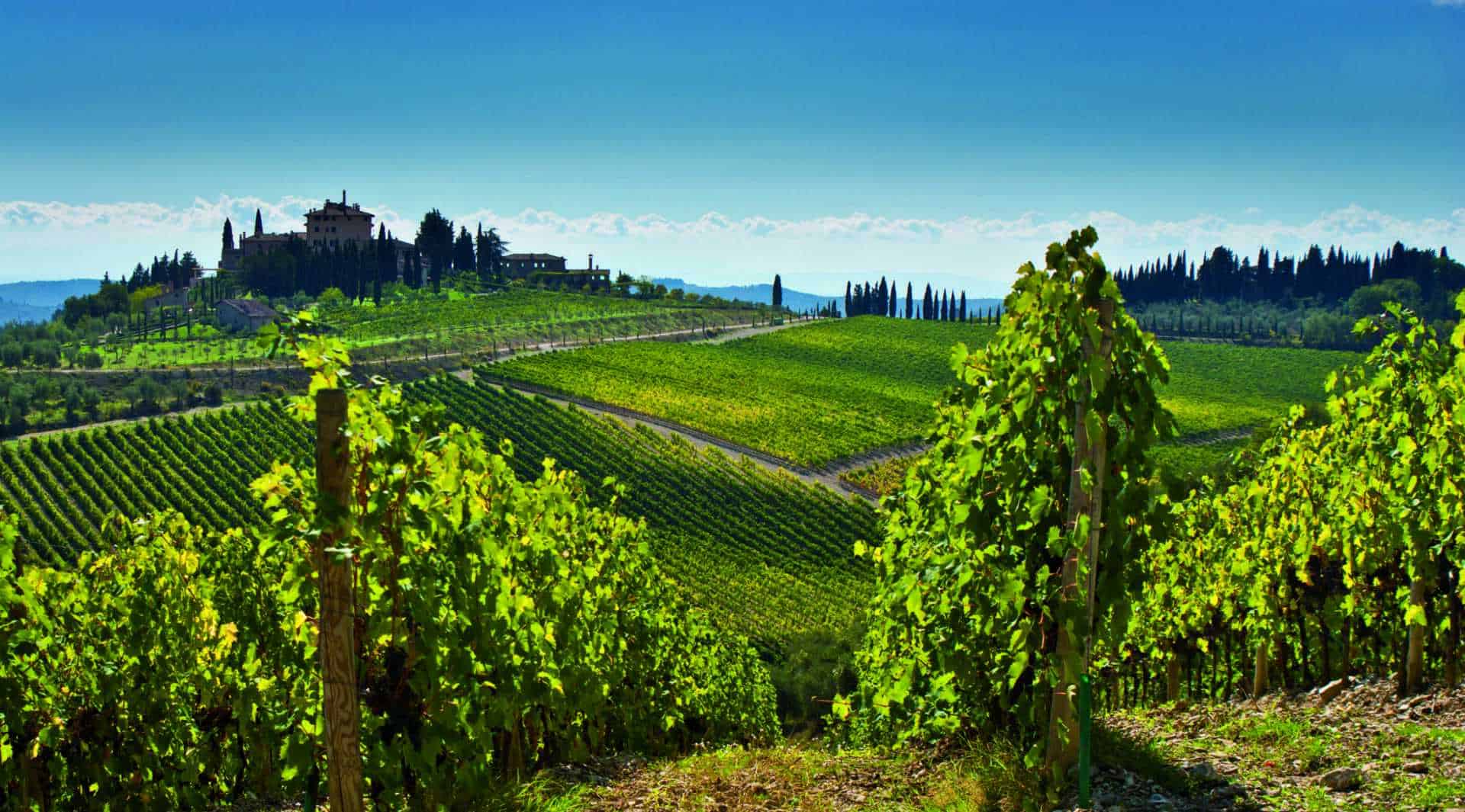 Fontella - Ethica Wines | Italian Roots. Global Reach.