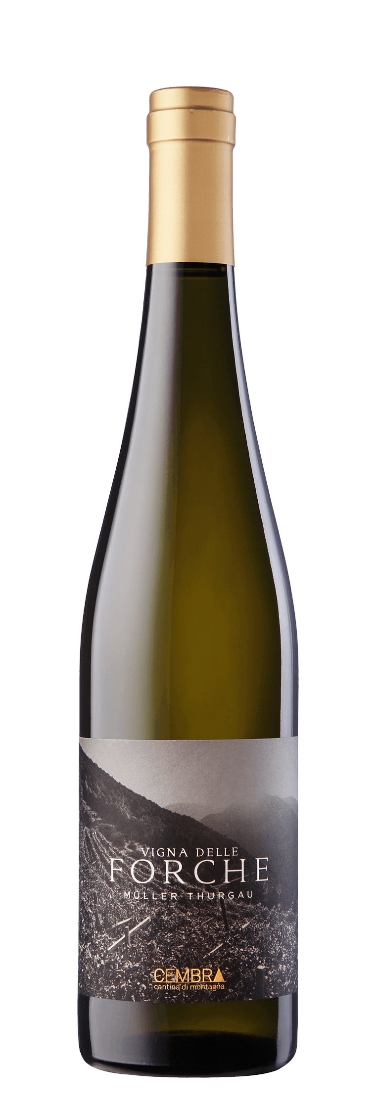 Vigne delle Forche bottle