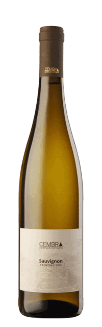 Sauvignon Trentino DOC  bottle