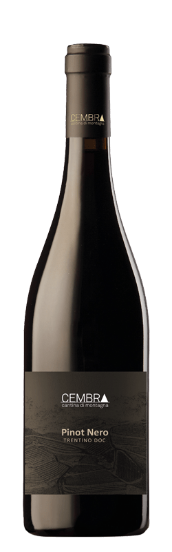 Pinot Nero Trentino DOC bottle