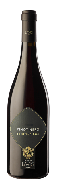 Pinot Nero Trentino DOC  bottle