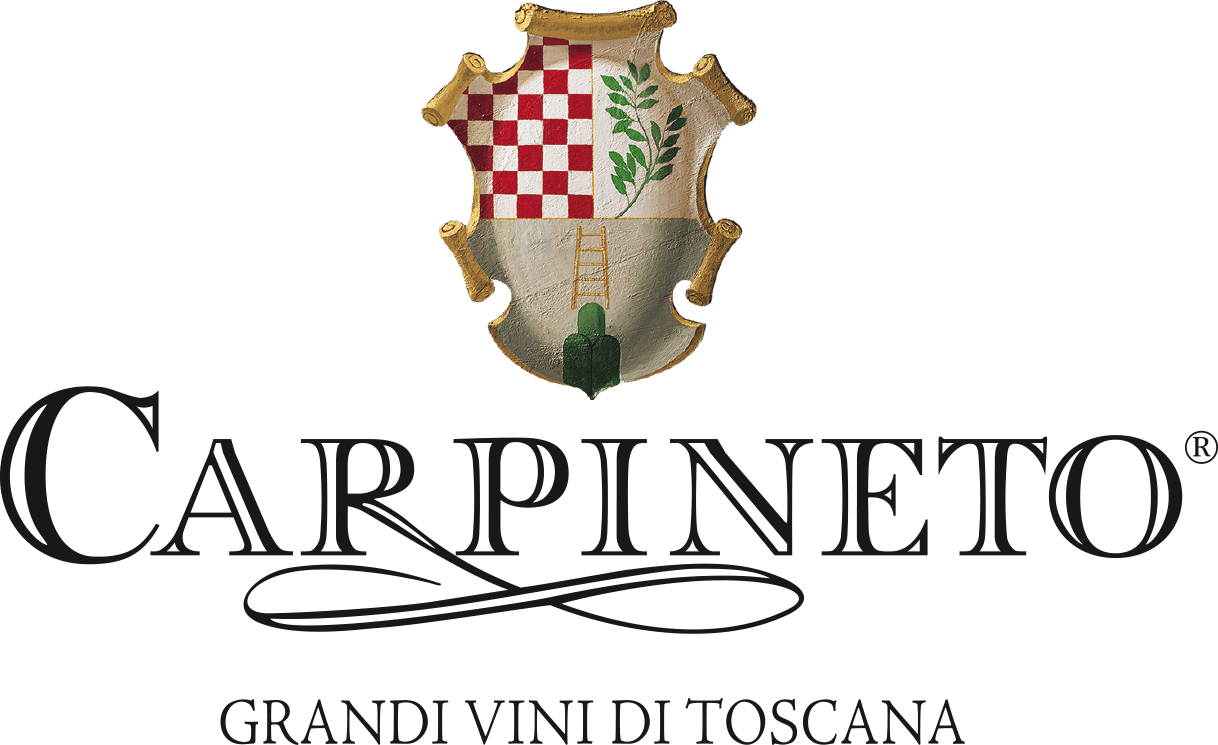 Carpineto