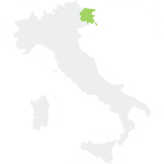 Friuli-Venezia Giulia map