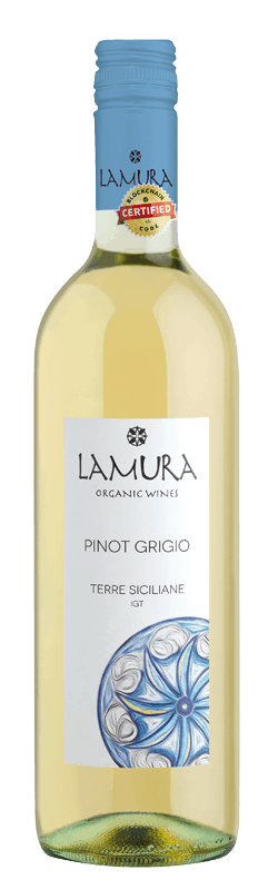 Pinot Grigio bottle
