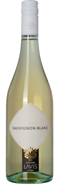 Sauvignon Blanc Trevenezie IGT bottle