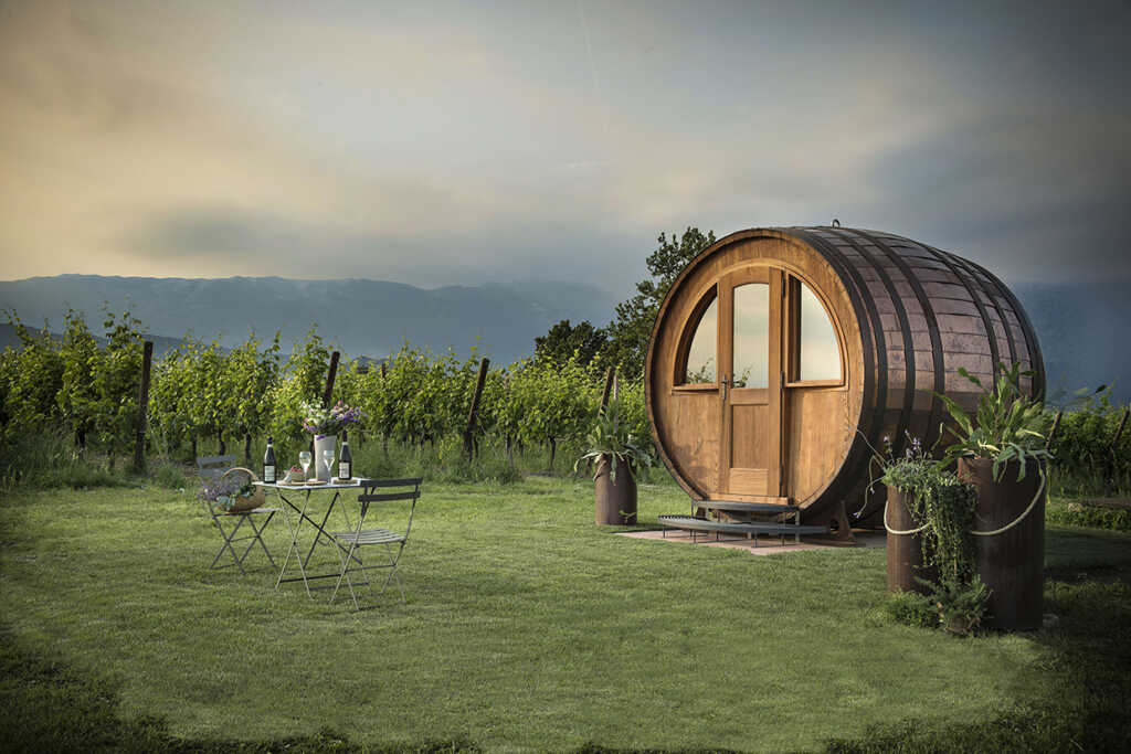 Organic_Prosecco_Antica_Quercia_winery
