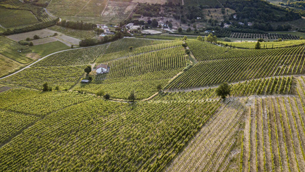 Cascina Valle Asinari - Ethica Wines | Italian Roots. Global Reach.